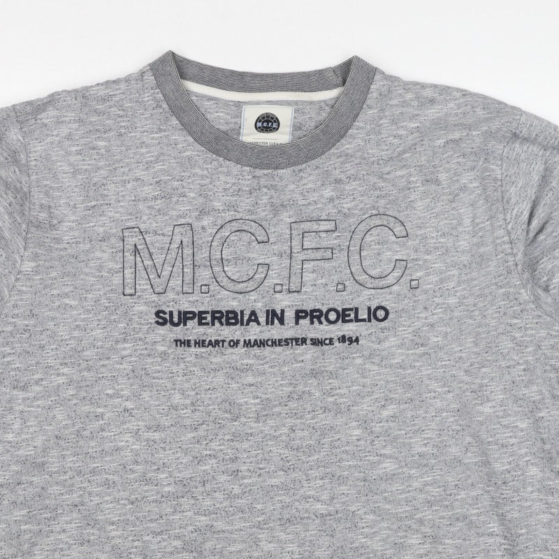 Manchester City FC Men's Grey 3XL Pullover Graphic Sweatshirt