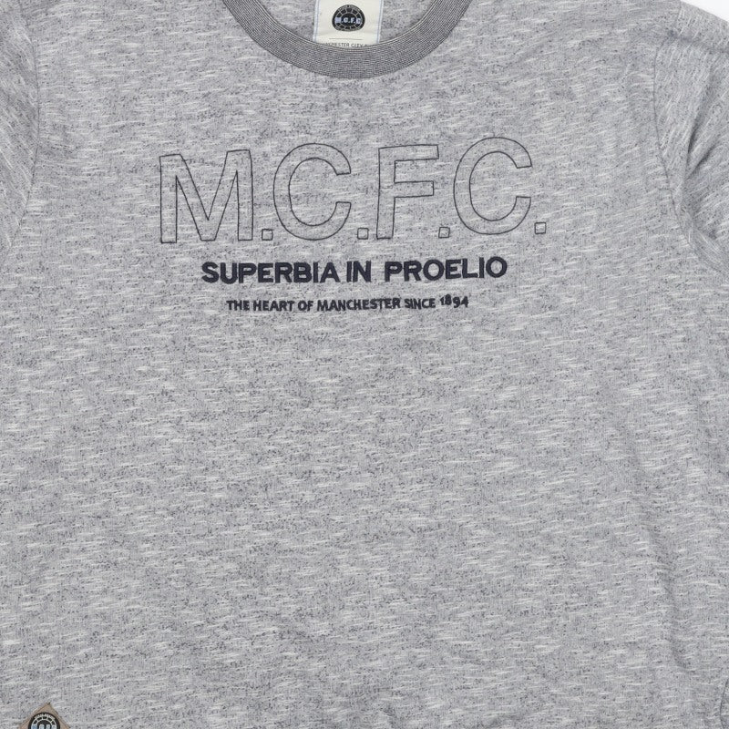 Manchester City FC Men's Grey 3XL Pullover Graphic Sweatshirt