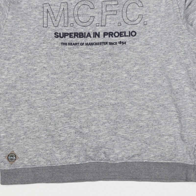 Manchester City FC Men's Grey 3XL Pullover Graphic Sweatshirt
