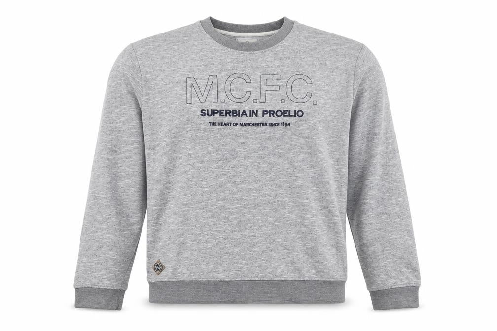 Manchester City FC Men's Grey 3XL Pullover Graphic Sweatshirt
