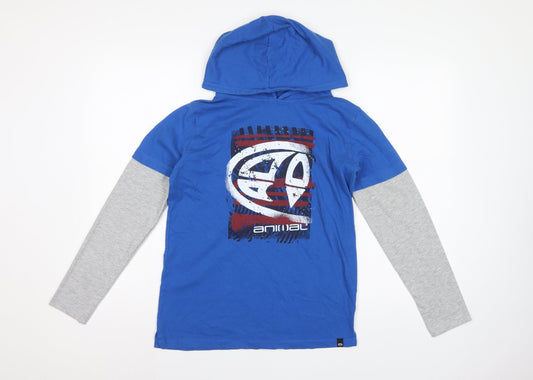 Animal Boys Blue Grey Logo Graphic Pullover Hoodie 13-14 Years