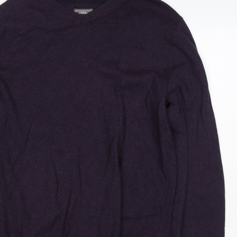 FatFace Men’s Purple Ramie Cotton V-Neck Pullover Jumper L Logo