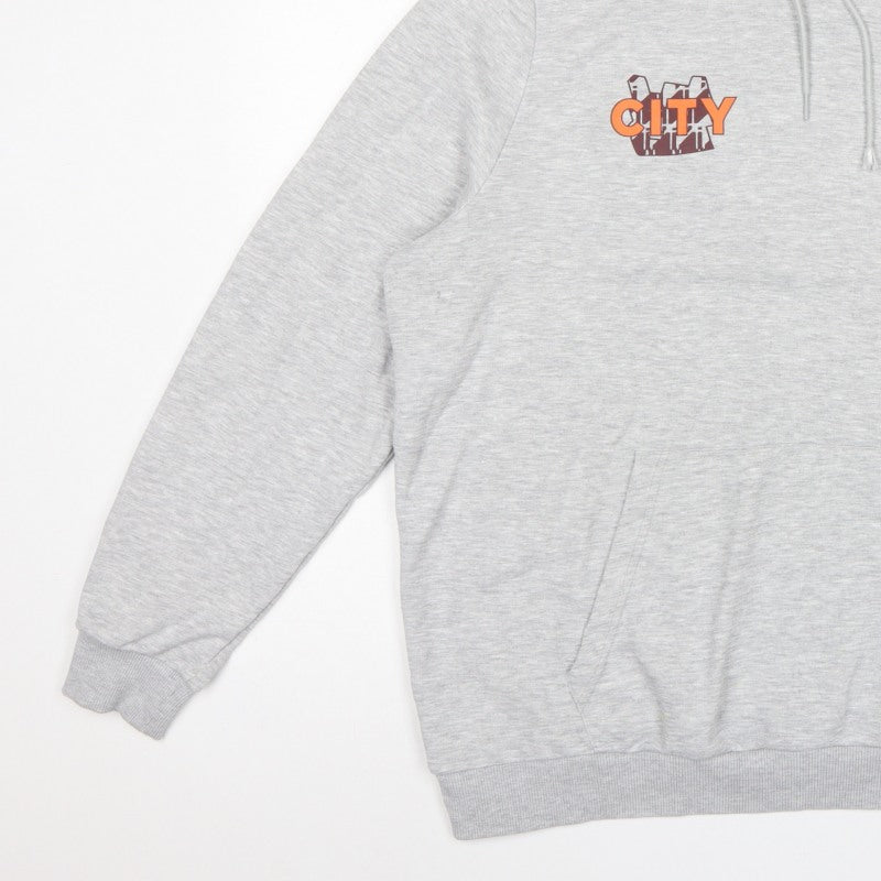 Puma Men Grey XL Manchester City Graphic Pullover Hoodie