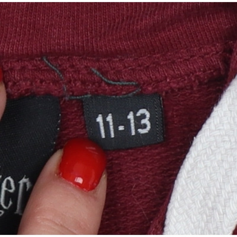 Harry Potter Girls Red 11-12 Years Gryffindor Pullover Hoodie Graphic Print