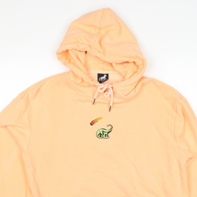 Agora Men's Orange M Pullover Hoodie Dinosaur Embroidered Cotton
