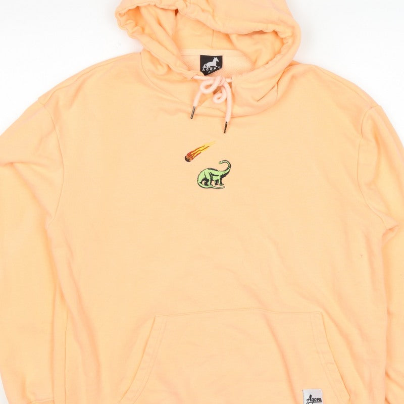 Agora Men's Orange M Pullover Hoodie Dinosaur Embroidered Cotton