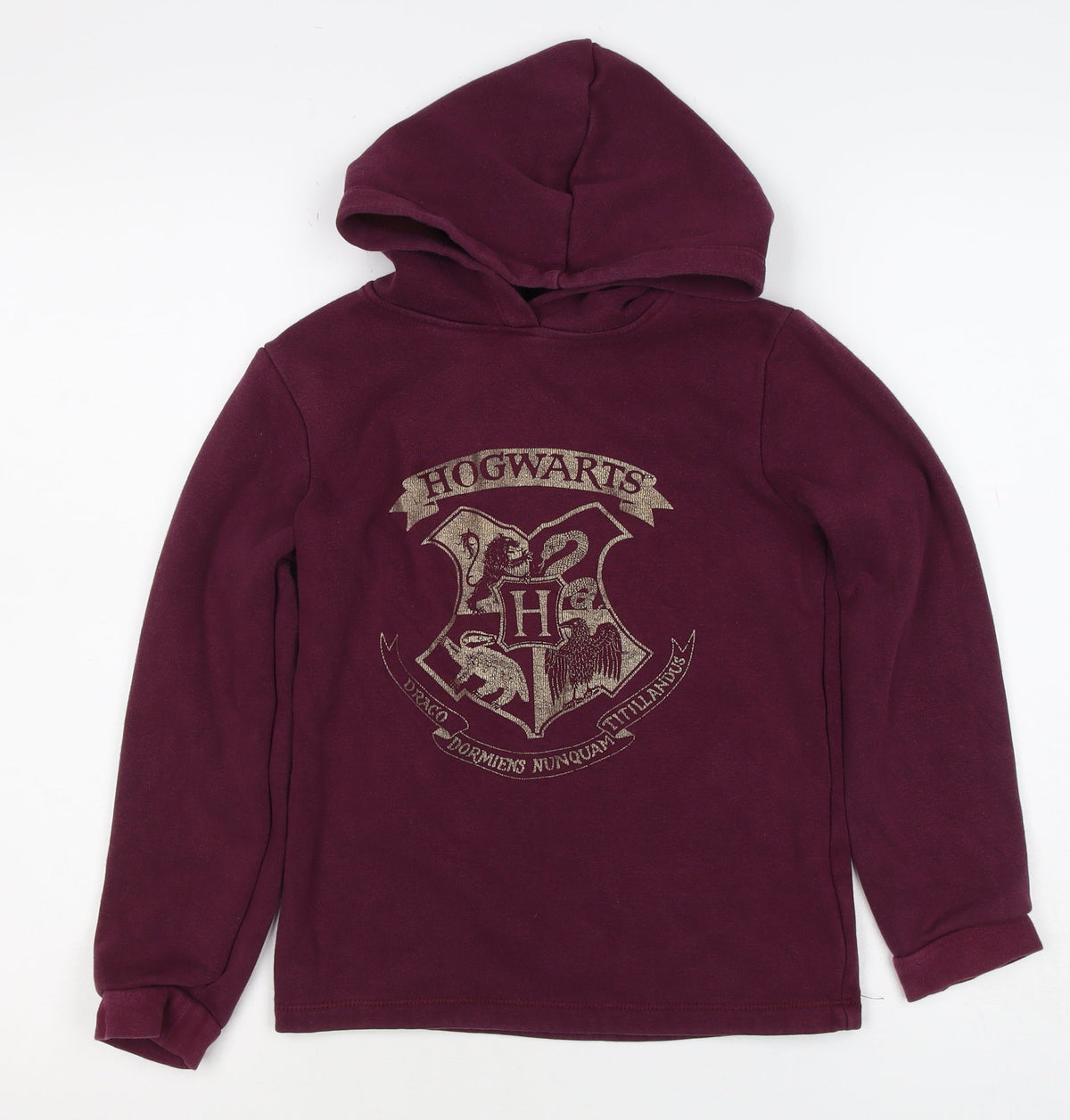 Harry Potter Boys Burgundy Hogwarts Crest Pullover Hoodie 9-10 Years