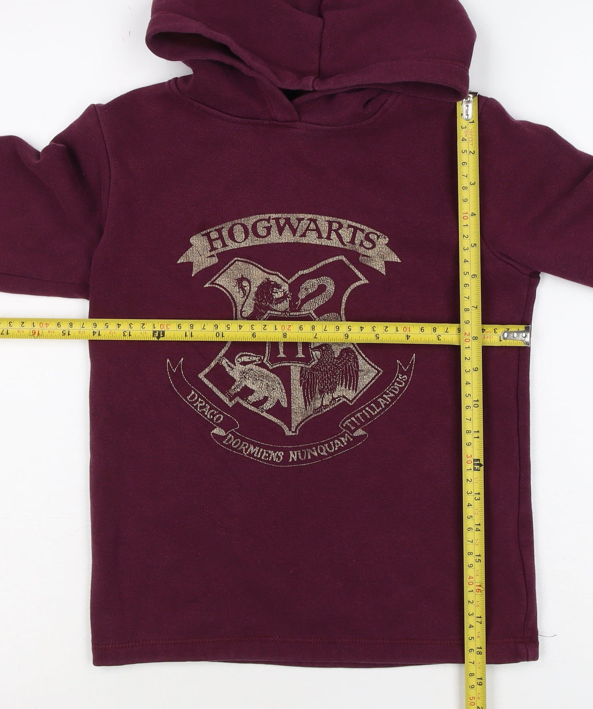 Harry Potter Boys Burgundy Hogwarts Crest Pullover Hoodie 9-10 Years