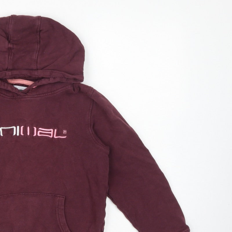 Animal Girls Brown 9-10 Years Pullover Hoodie Embroidered Logo