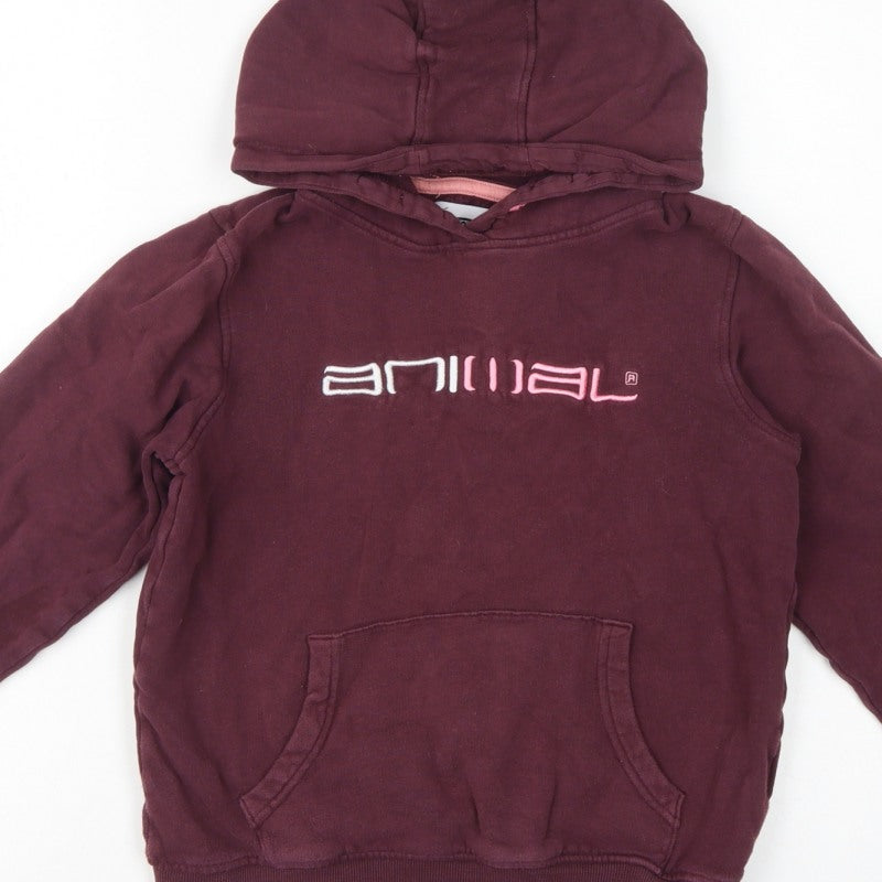 Animal Girls Brown 9-10 Years Pullover Hoodie Embroidered Logo