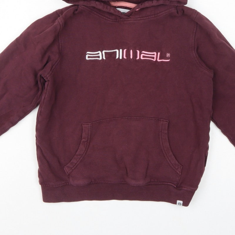 Animal Girls Brown 9-10 Years Pullover Hoodie Embroidered Logo