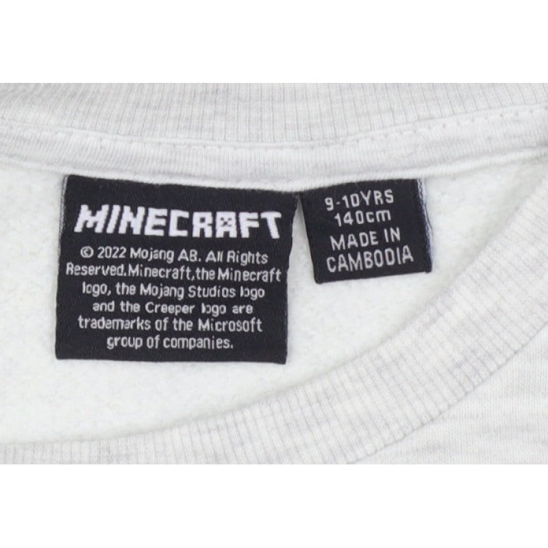 Minecraft Boys Grey 9-10 Years Pullover Graphic Print Sweatshirt