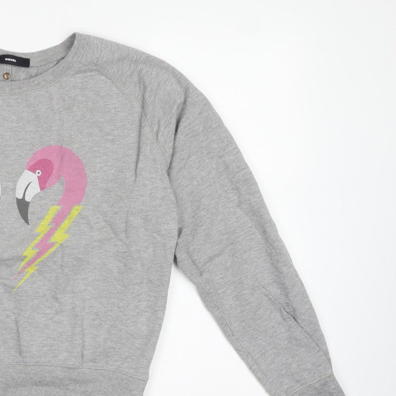 Diesel Women’s Grey XS Flamingo Graphic Cotton Sweatshirt Pullover