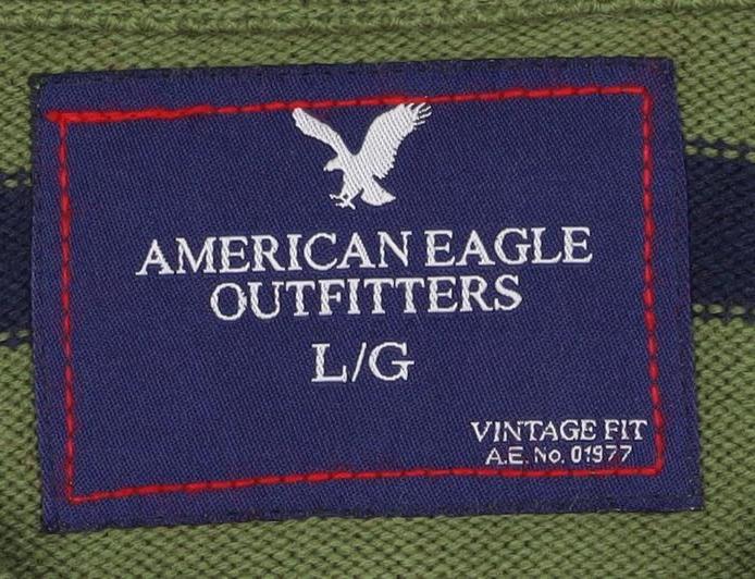 American Eagle Men’s Green Navy Striped V-Neck Knit Vest L